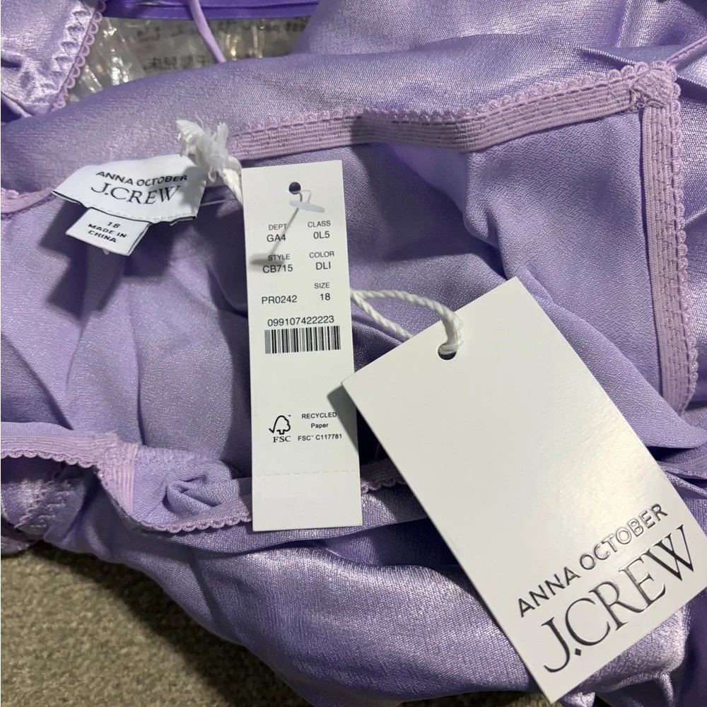 NWT J.Crew x Anna October V-neck slip dress in luster crepe 18